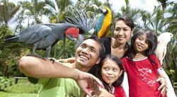 Bali Bird Adventure