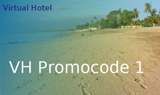 VH Promocode 1